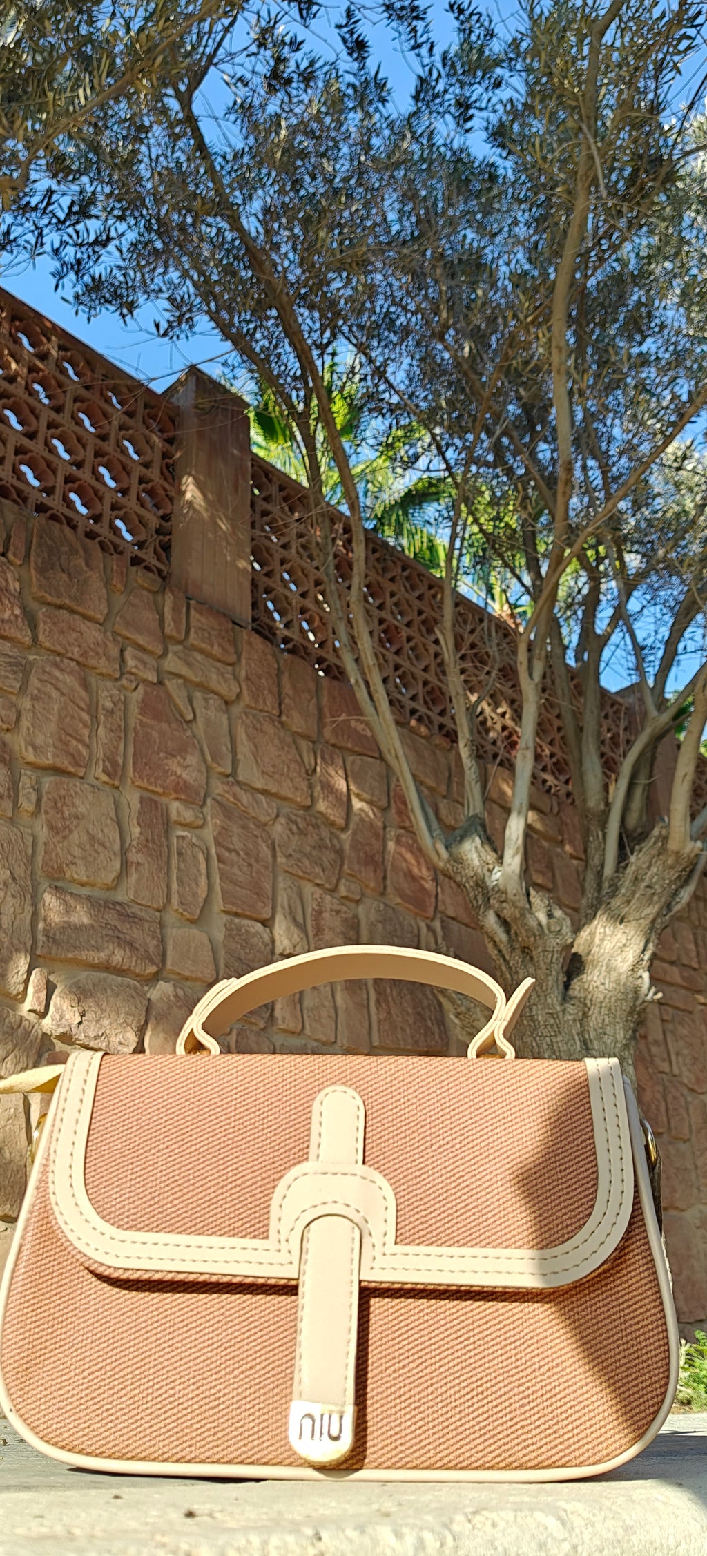 حقيبة نسائيةأنيقة و عصرية